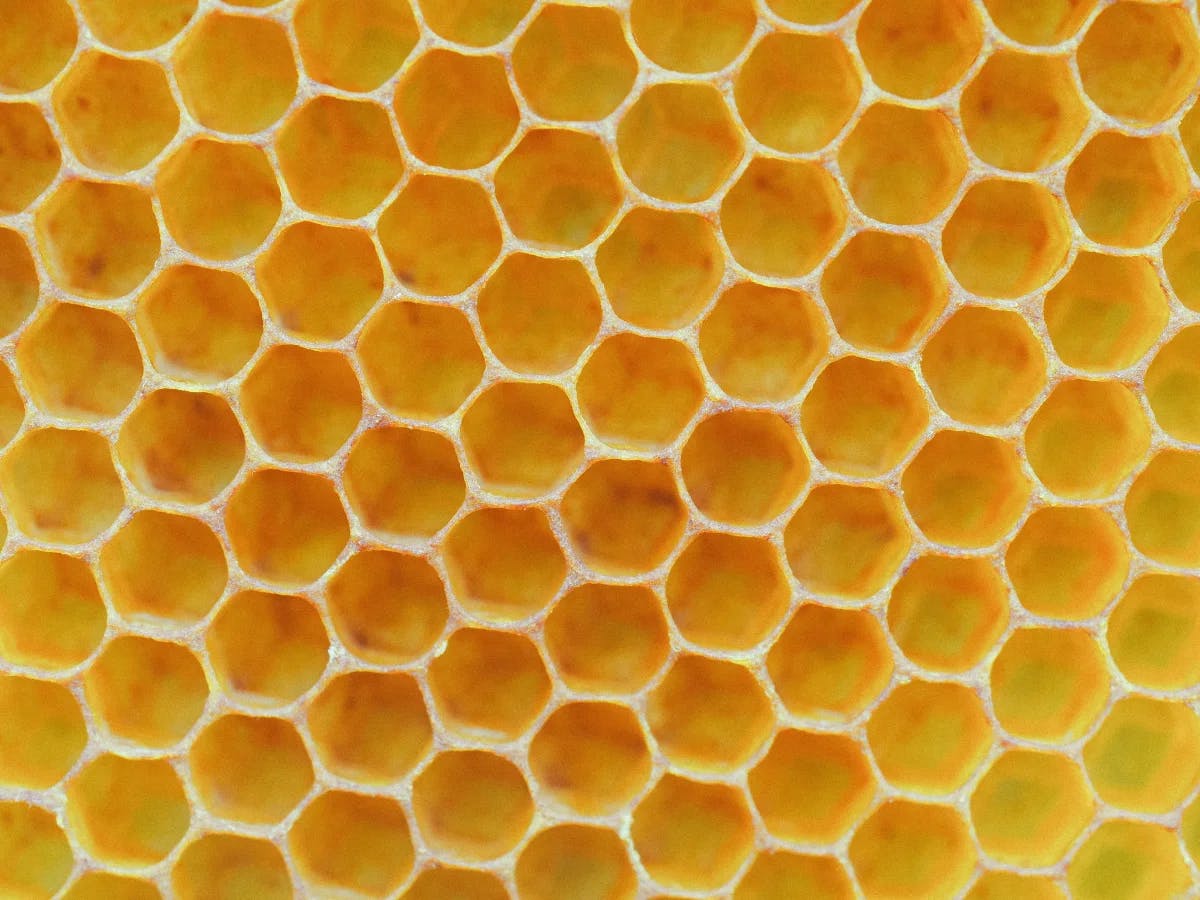 Honeycomb arrangement representing array indexes in JavaScript.
