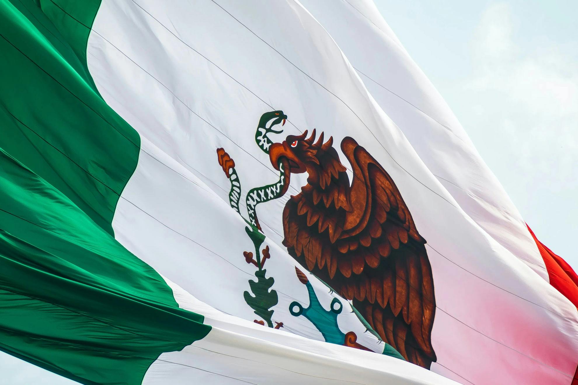 The national flag of the United States of Mexico Photo by Jorge Aguilar on Unsplash